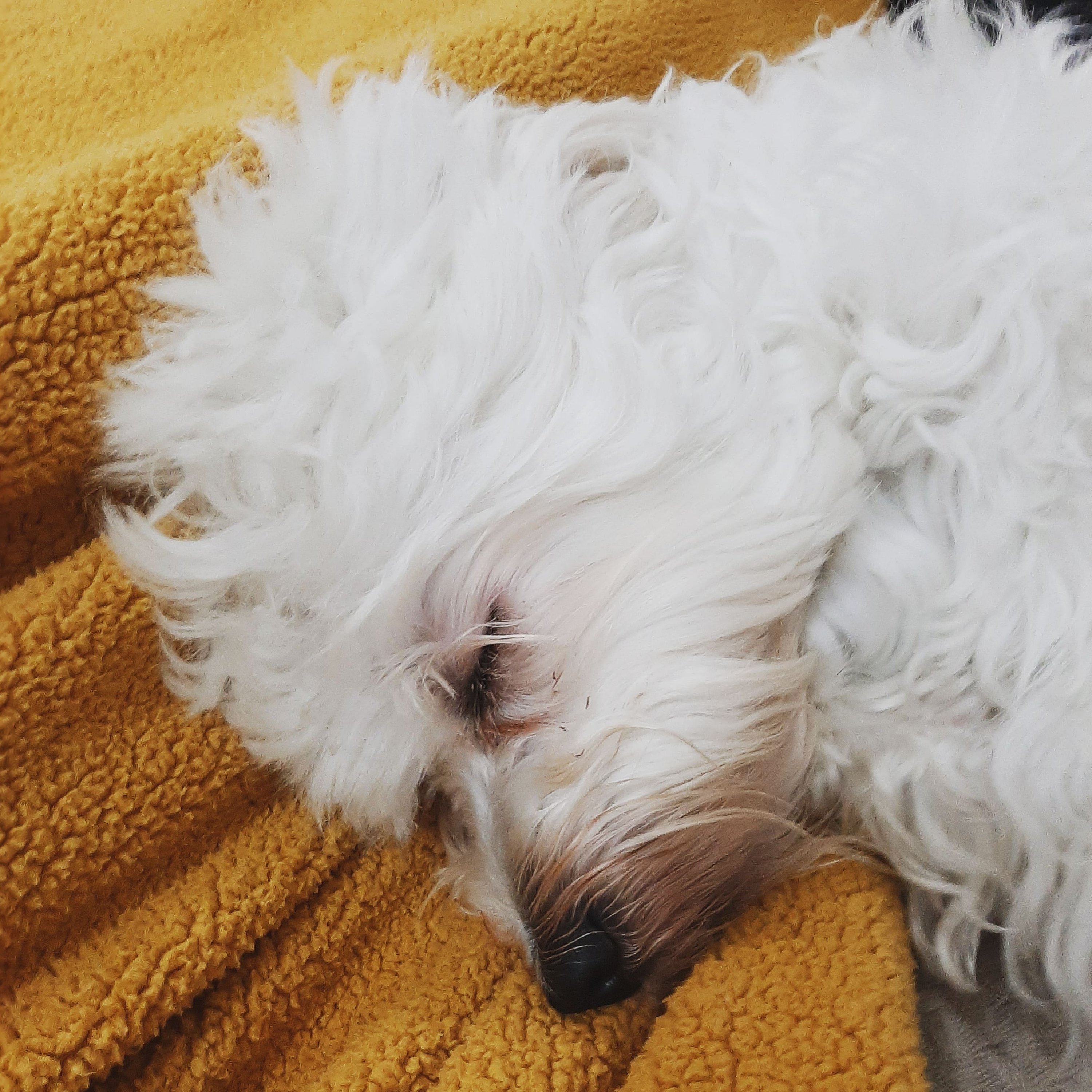 Domingo, dia de dormir rsrsrsrs