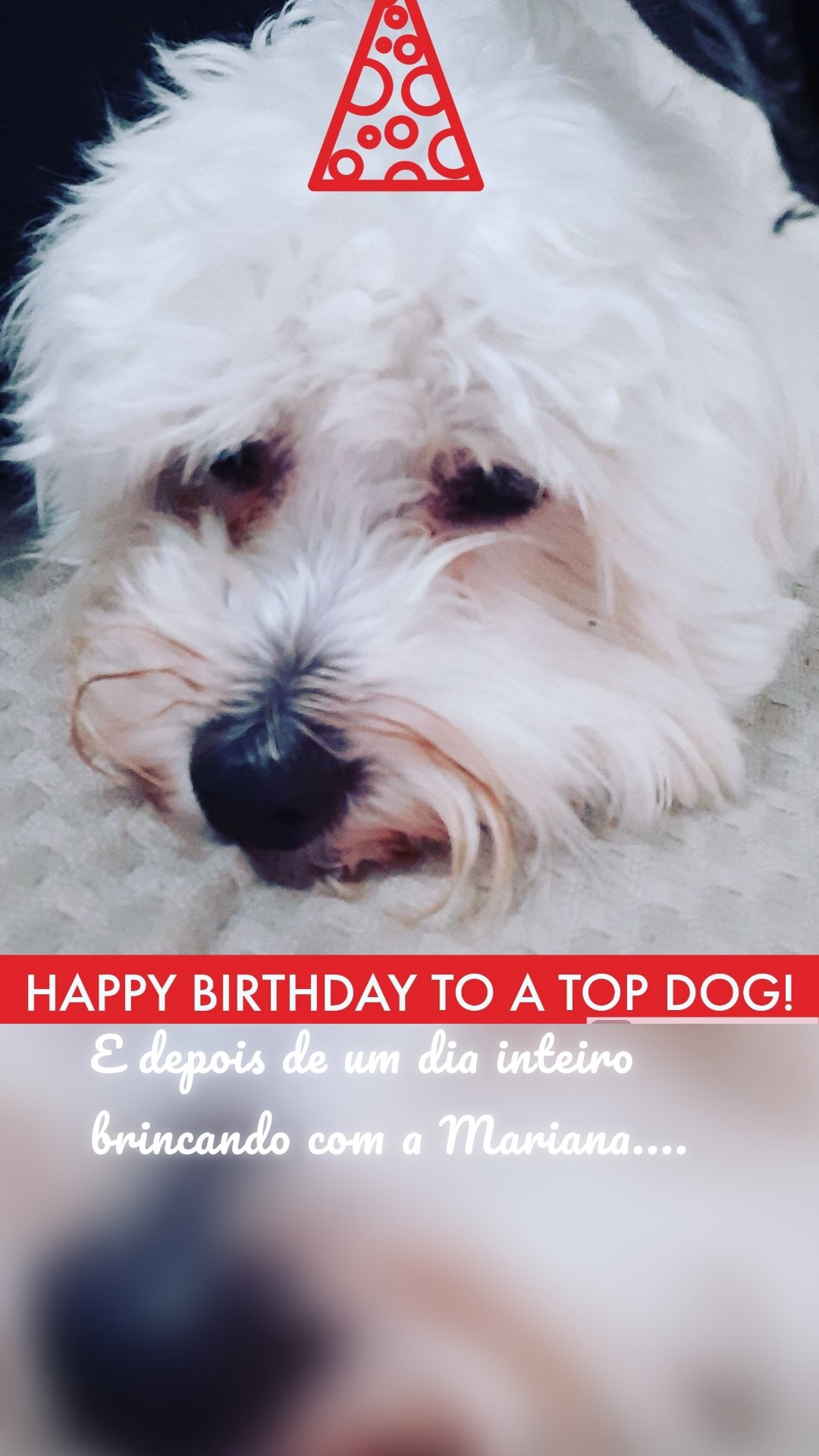 






E depois de um dia inteiro brincando com a Mariana....

