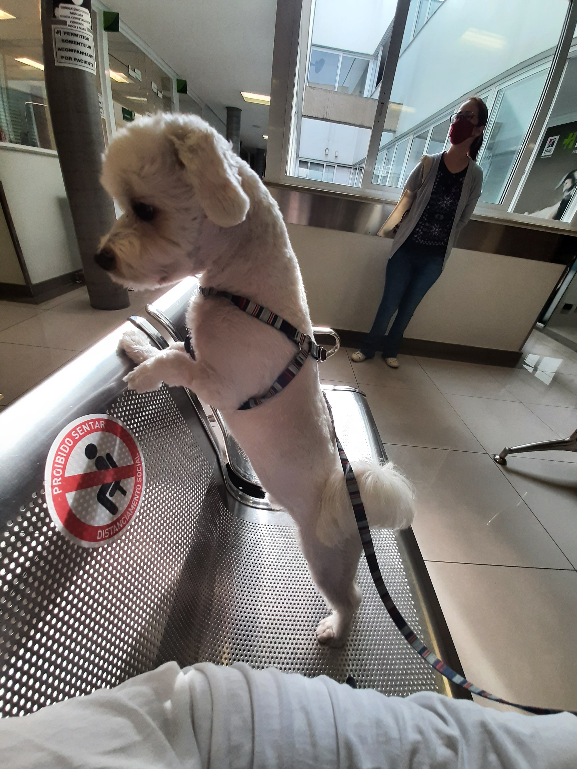 Retorno no Dr. FELIPE 🥴🥴😷😷😜🐕🐕