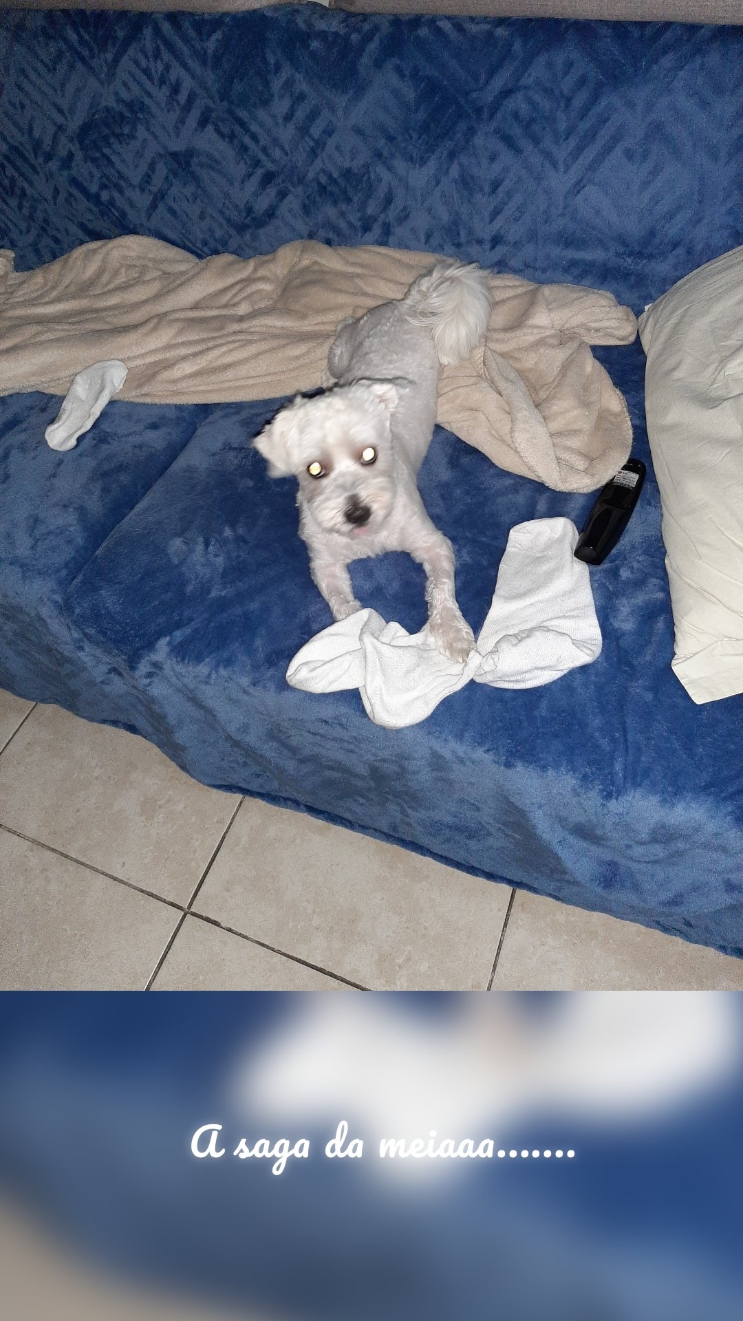 A saga da meiaaa.......