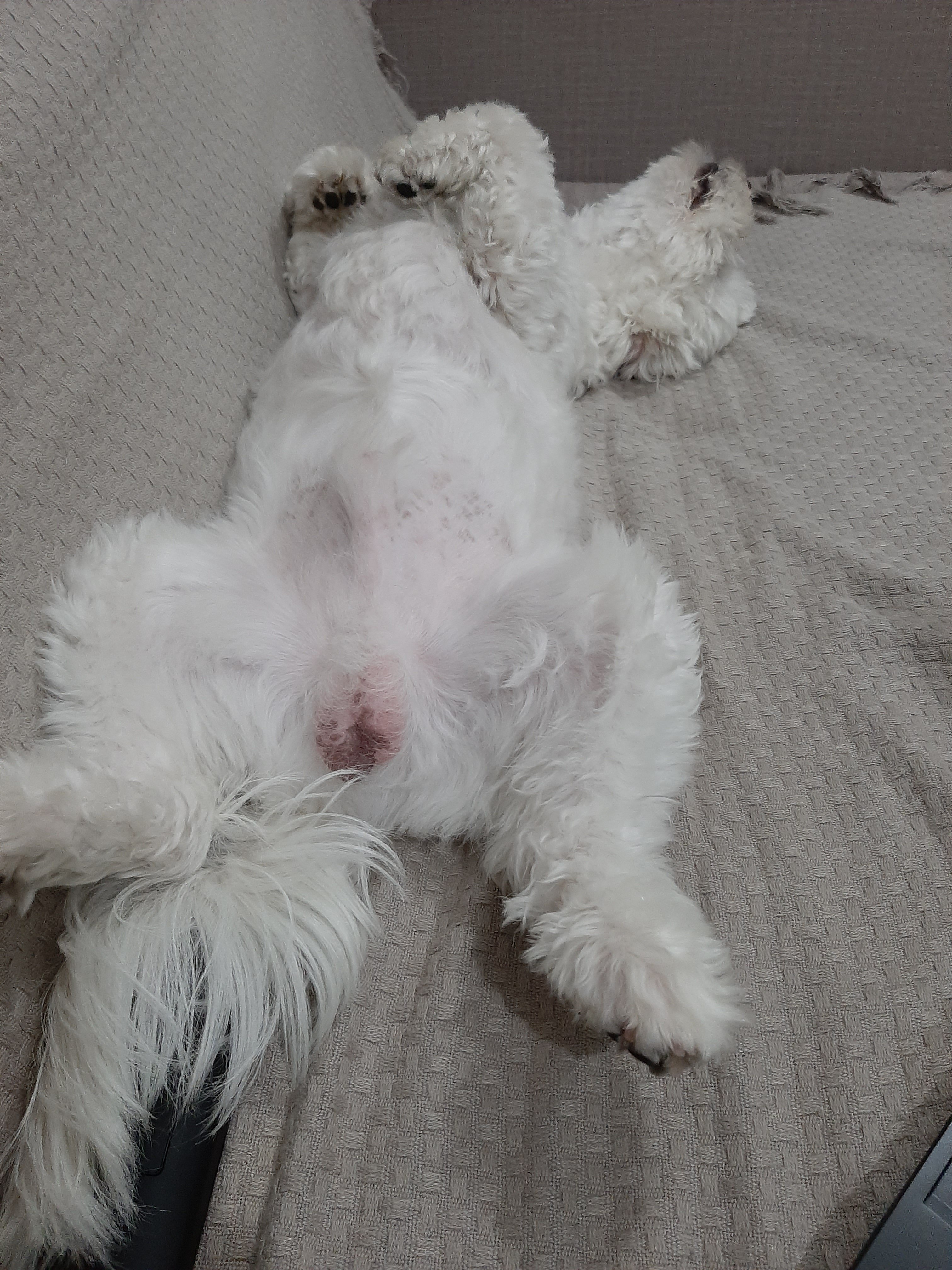 Agora vai dormir 😴😴😴😴😴😴
