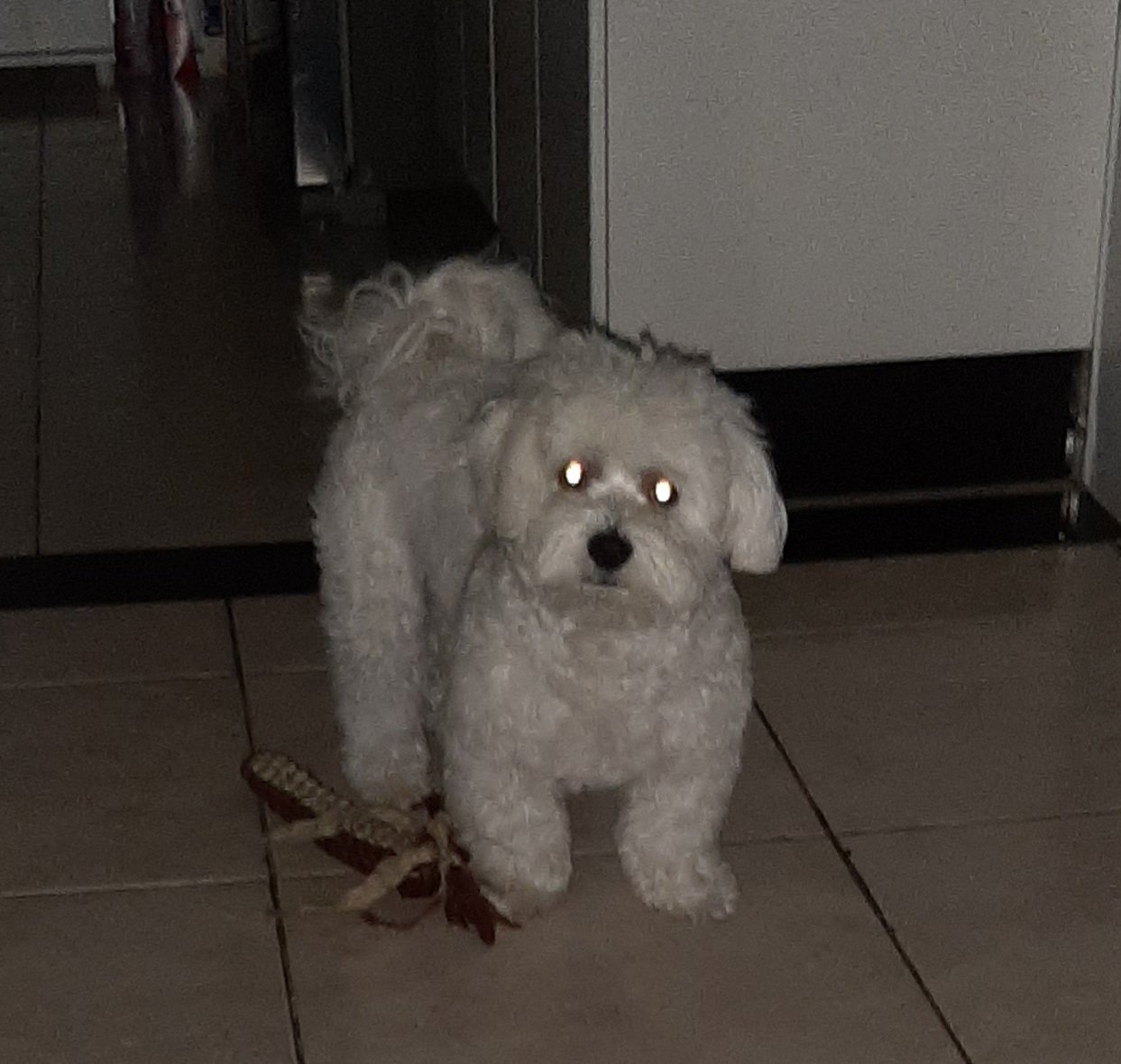 Acorda papai, ja são  3 horas da manha, vamos brincar rsrsrs