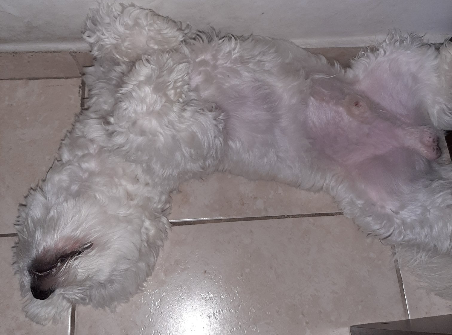 Muitooooo preguicinhaaaa