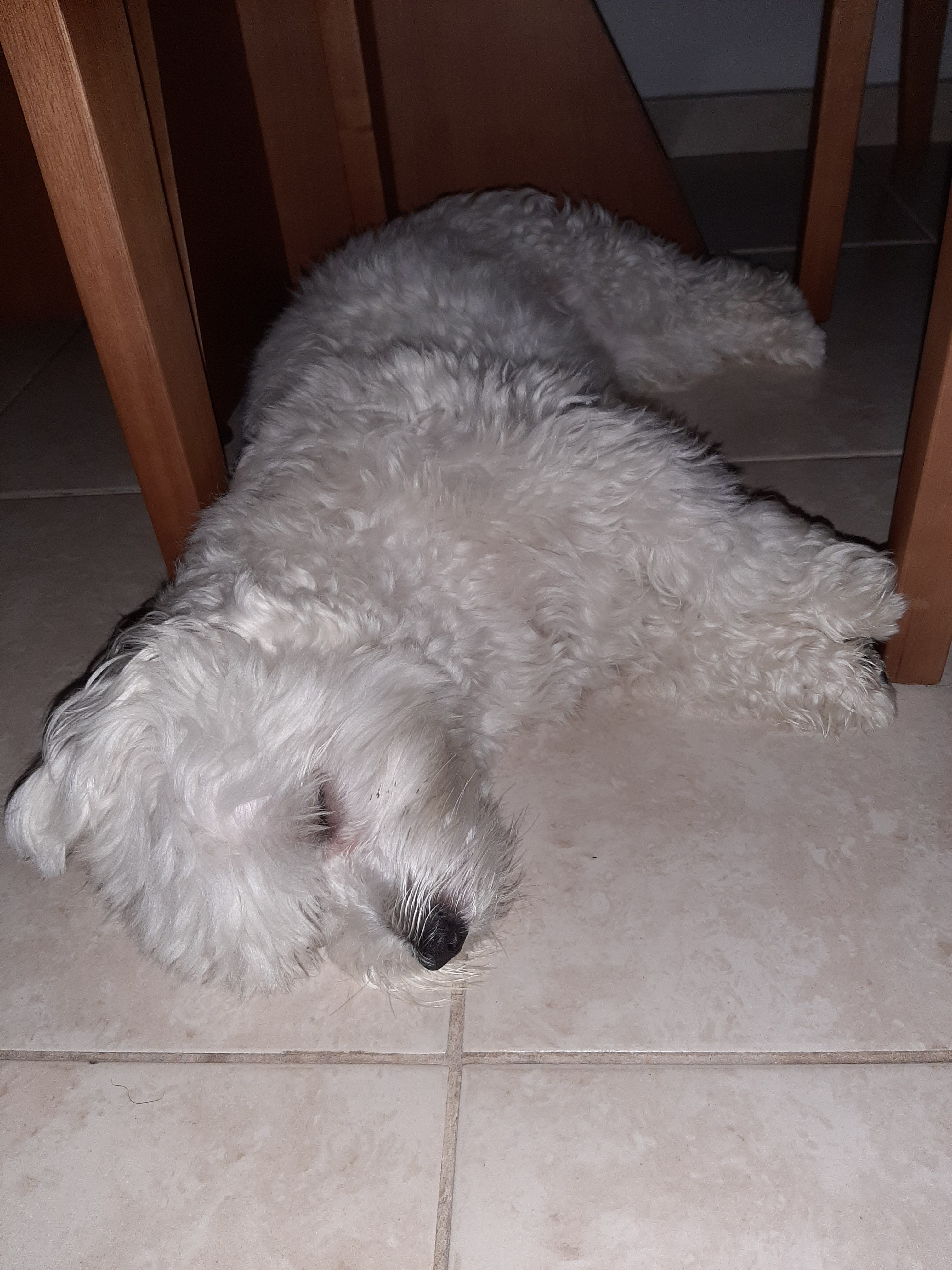 Hoje o sono bateu cedo…