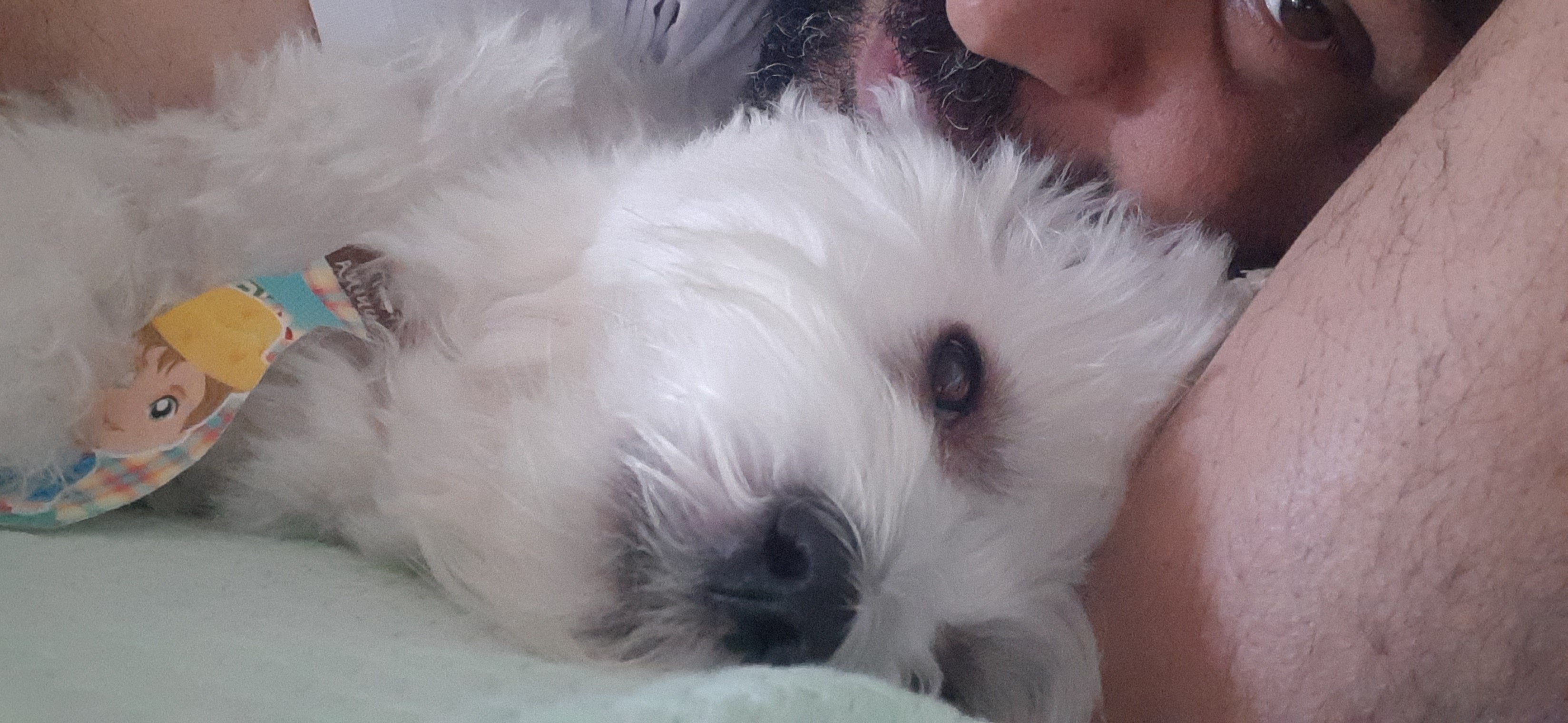 Meu bebe faz 2 anos…🐶🐶🐶🎂🎂🎂