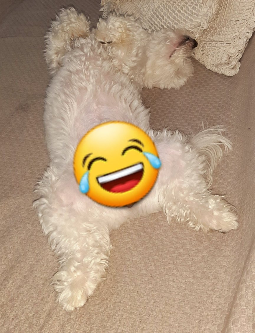 Brincou com o papai quase 1 hora