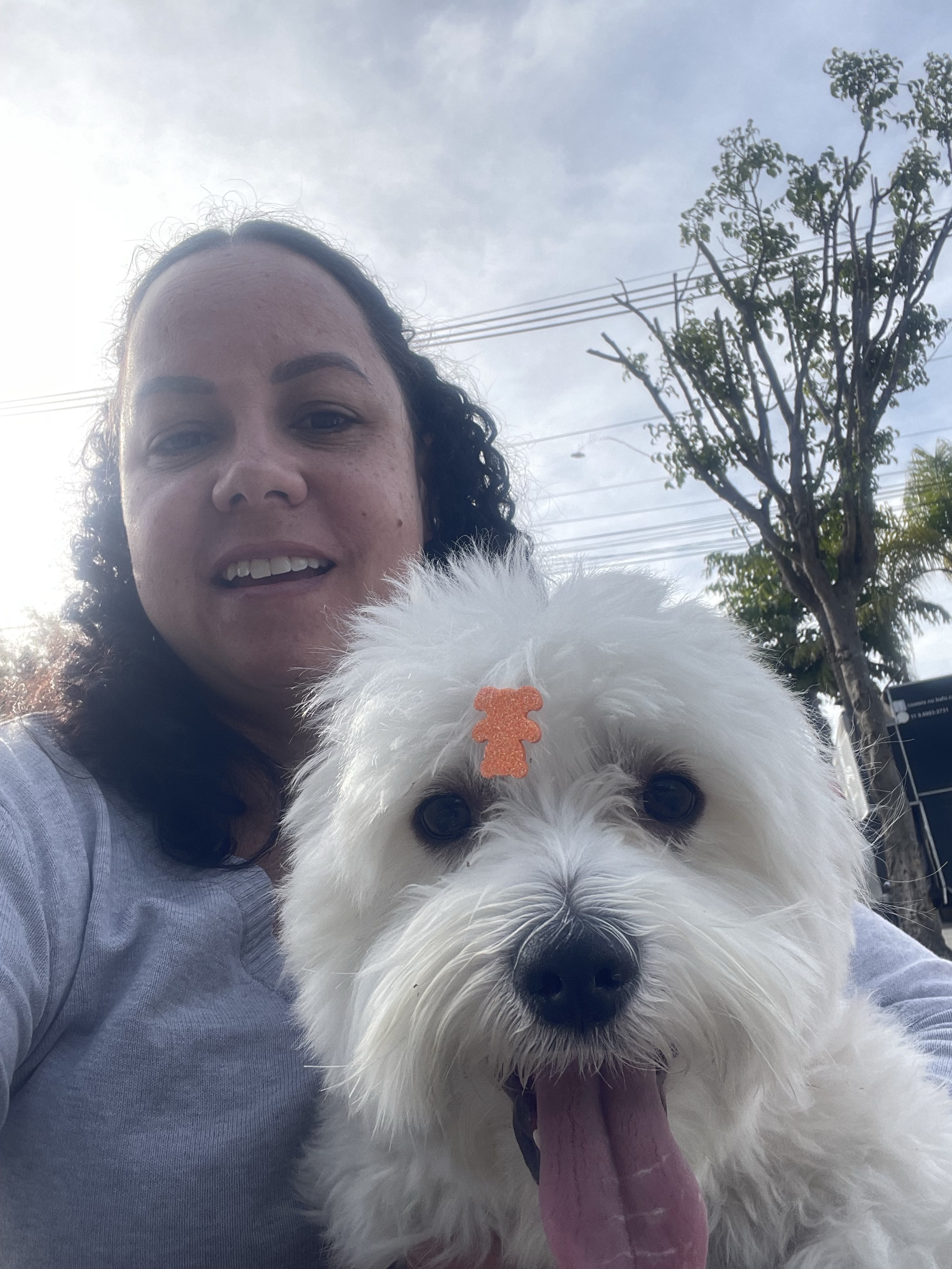 Meu Anakin, minha melhor companhia