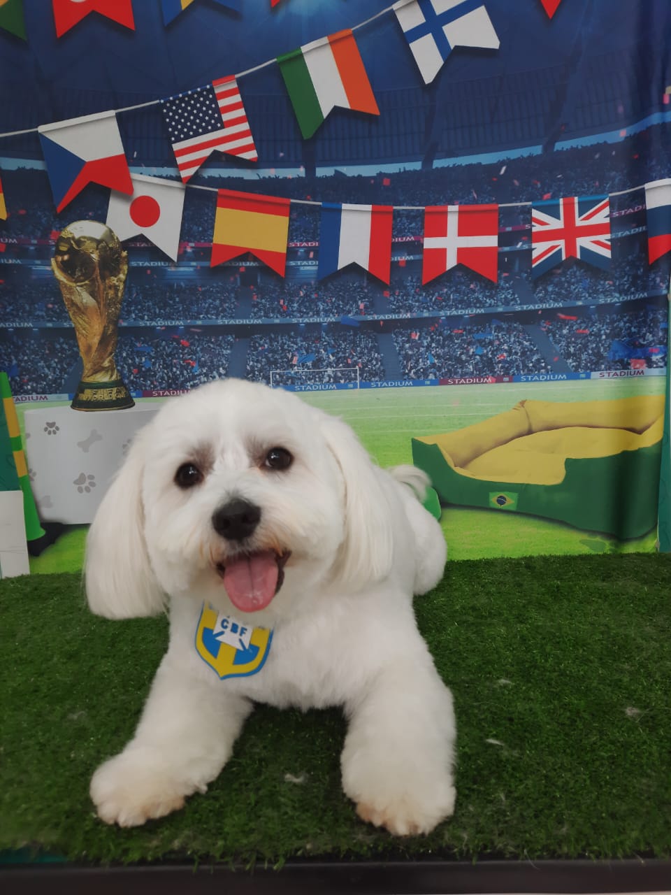 Anakin na Copa com os amigos da Vet