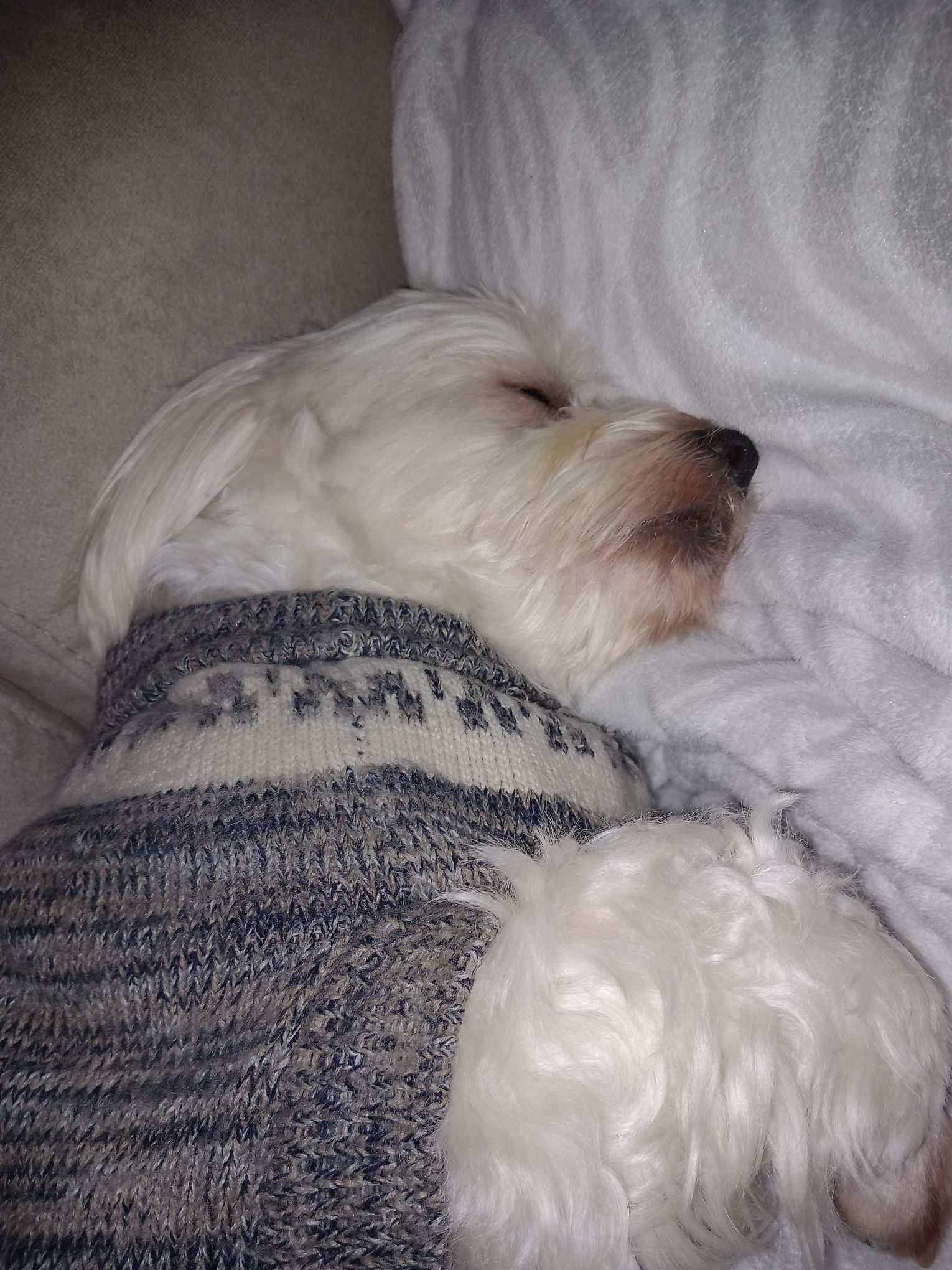 Frio demais… só dormir com a mamãe